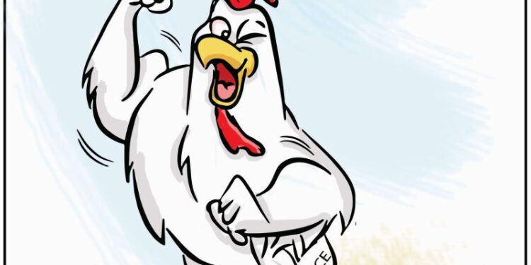 Cartoon