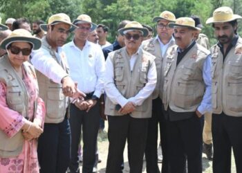 Second phase of excavation begins at ancient Buddhist site in Baramulla