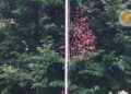 Director Information hoists Tricolour at DIPR Independence Day function