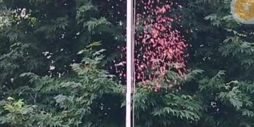 Director Information hoists Tricolour at DIPR Independence Day function