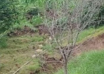 Land subsidence hits remote village in Poonch; several structures damaged