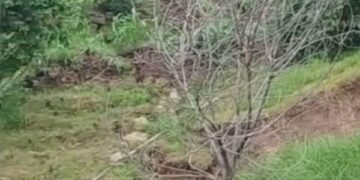 Land subsidence hits remote village in Poonch; several structures damaged