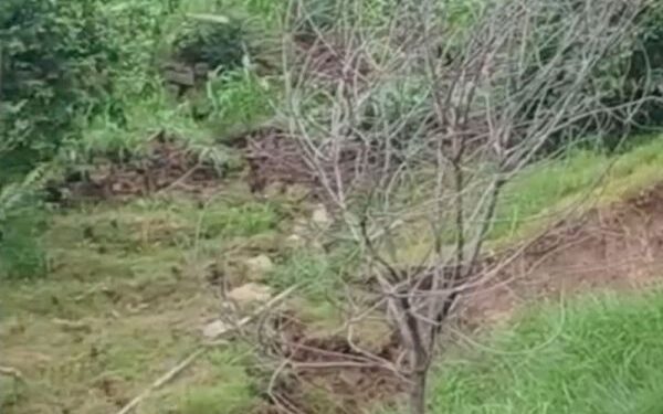 Land subsidence hits remote village in Poonch; several structures damaged