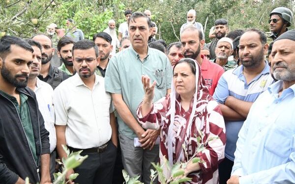 Sakeena Itoo visits hailstorm-hit areas of Kulgam, assures support to growers