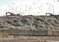 Achan ‘garbage mountain’ set for major transformation under Waste-to-Energy plan