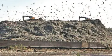 Achan ‘garbage mountain’ set for major transformation under Waste-to-Energy plan
