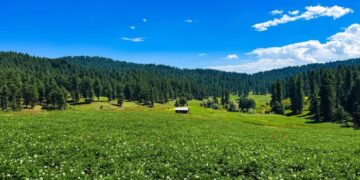 Bosian potato farm eyes bumper seed harvest, workers seek better infrastructure