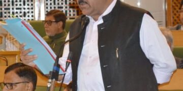 Cement plants using pet coke to install pollution-control systems: Deputy CM