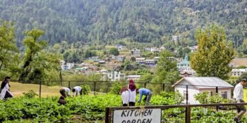 School in Bhaderwah turns wasteland into garden for mid-day meals, gives students hands-on experience
