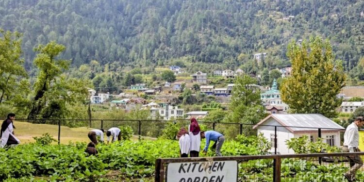 School in Bhaderwah turns wasteland into garden for mid-day meals, gives students hands-on experience