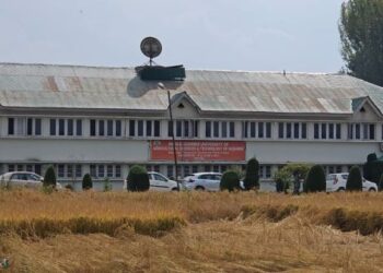 SKUAST-K works to revive traditional rice, develop high-yielding varieties