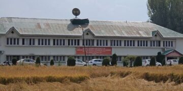 SKUAST-K works to revive traditional rice, develop high-yielding varieties