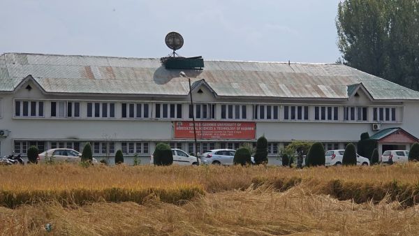 SKUAST-K works to revive traditional rice, develop high-yielding varieties