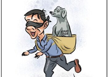 Cartoon