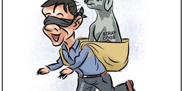 Cartoon